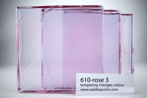 B-610 Rose 3