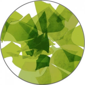 G-031 Olive Green Limited Availability