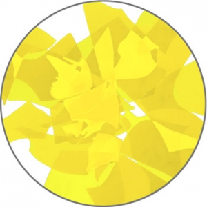 G-077 Daffodil Limited Availability