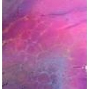 G-199 Purple Rose Limited Availability